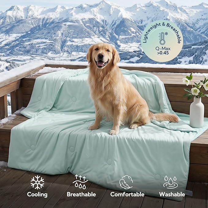 Soulbond Cooling Blanket for Medium Dogs - Q-MAX>0.45, Washable Cool Pet Cats Throw Blanket for Hot Weather, Self-Cooling Soft Dog Mat for Bed Crates Couch Sofa Cars(29"x40", Aqua Green)