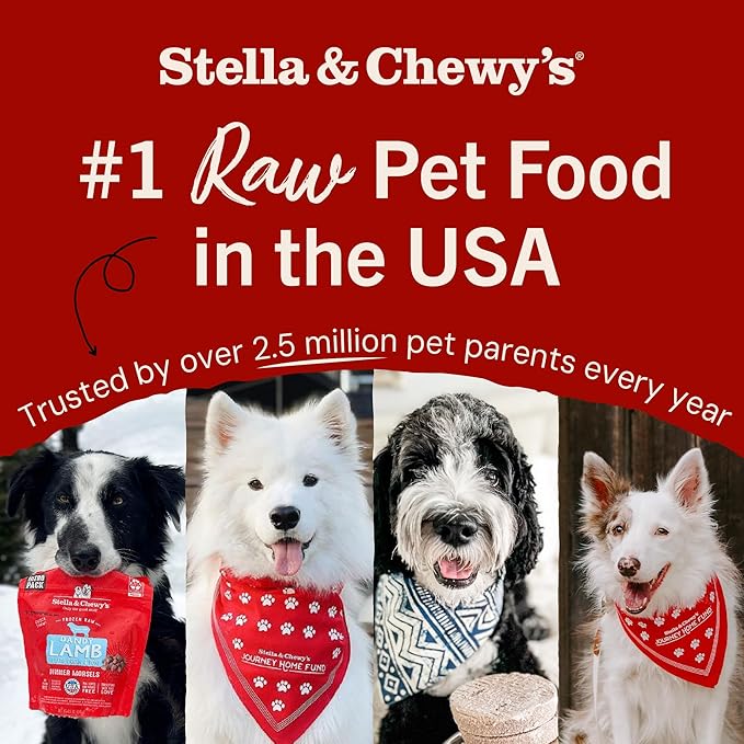Stella & Chewy's Freeze-Dried Raw Dinner Patties - Purely Pork Recipe - High Protein Grain-Free Puppy & Dog Food - Perfect For Picky Eaters - 14 oz