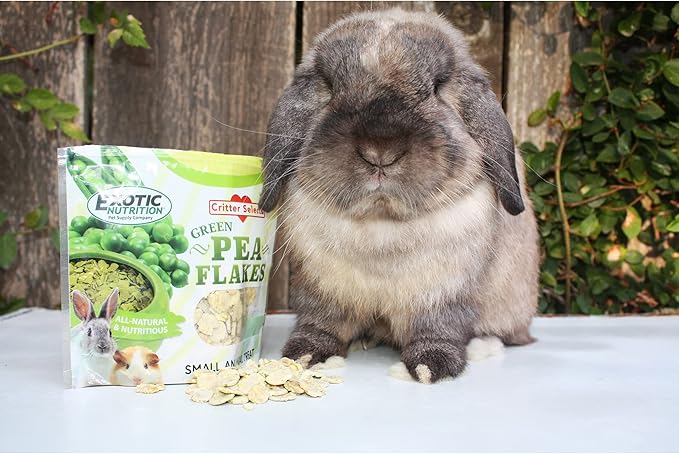 Exotic Nutrition Green Pea Flakes (1 lb.) - Healthy Natural Dried Vegetable Treat - for Rabbits, Guinea Pigs, Hamsters, Chinchillas & Other Small Pets