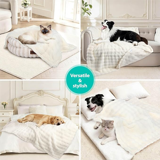 Dog Blankets Washable Pet Blanket - Fluffy Fuzzy Cat Puppy Blanket with Premium 300GSM 3D Fleece Bubble for Pet Kitten Doggy, Cream, 40x60IN