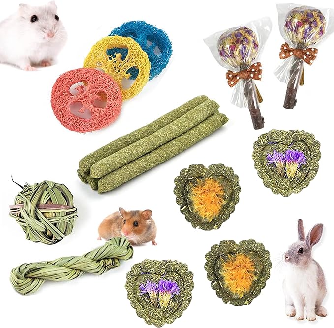 Rabbit Chew Toys for Teeth, 16PCS Natural Timothy Hay Chew Toy, Improve Dental Health for Bunny/Chinchilla/Guinea Pig/Hamsters/Holland Lop, Small Rodent Pet Molar Teeth Treats Toys