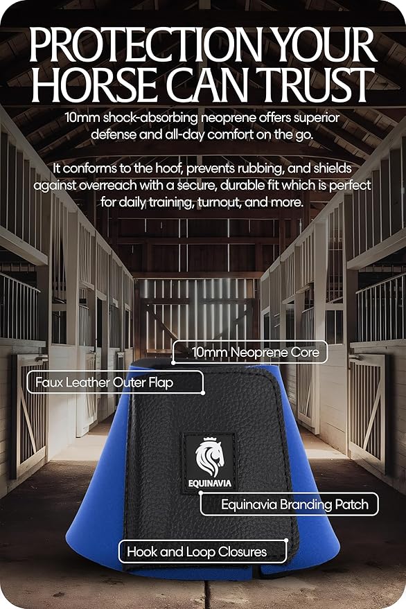 Equinavia Toki Bell Boots for Horses | Neoprene Overreach Boots - Royal Blue - M
