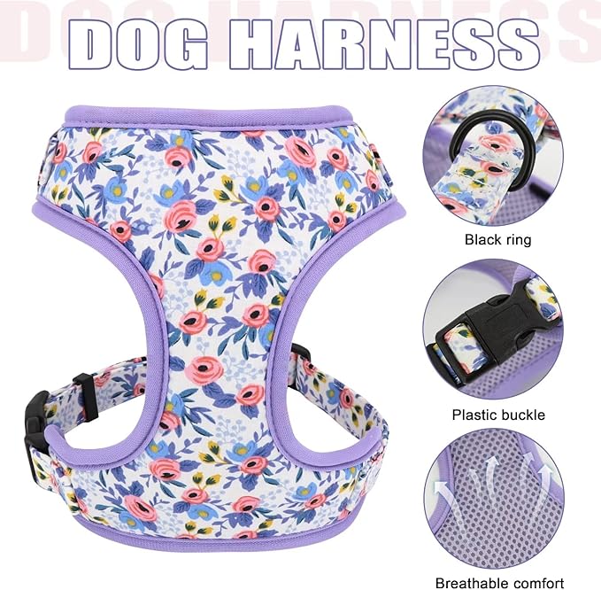 Beirui Cute Girl Dog Collars, Harnesses & Leashes Set - Adjustable Dog Collar and Leash Set with Flower - Soft Mesh Dog Vest Harness for Puppies Small Medium Dogs (Blue,XS)