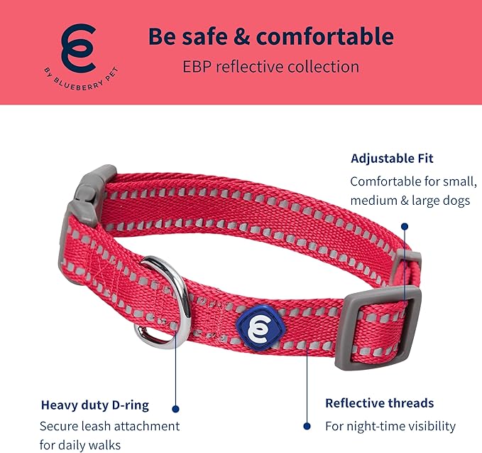 Blueberry Pet Essentials Reflective Dog Collar & Leash Set, Adjustable for Large Dogs | Safe Walking Gear for Pet Parents, Puppy Training & Daily Use LargeDogs, Very Berry