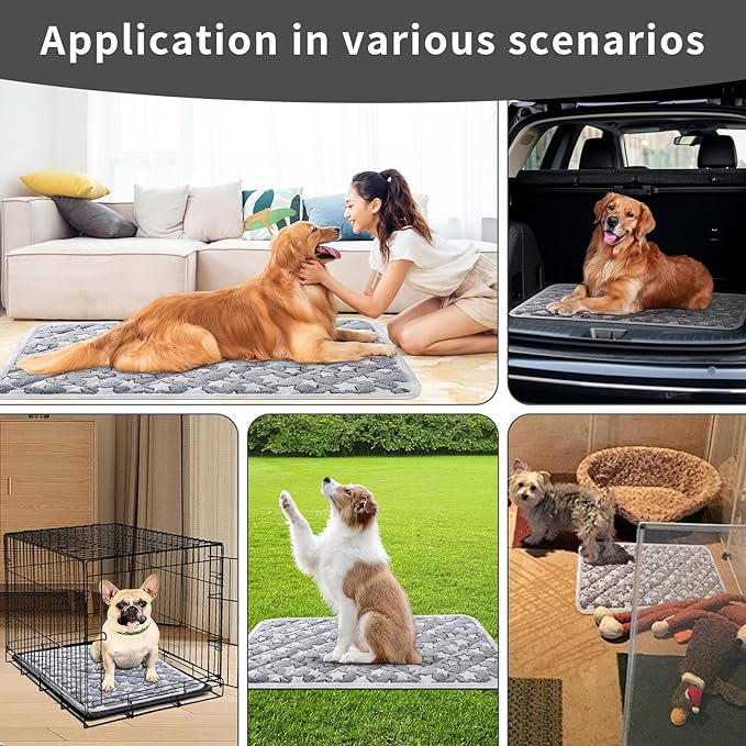 Soft Reversible Dog Crate Mat 2Pcs, Cat Mat - 24x16 Inch, Short Plush Pet Mat, 0.6-inch Thick Thin Dog Mat, Dog Bed Mat for Small Dogs, Machine Washable Ideal for 24-Inch Dog Crates