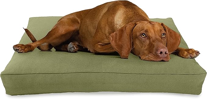 X-Large - 48 x 30 x 5 - Cactus Premium Organic Hemp Dog Bed - Organic Latex Fill - Removeable Cover