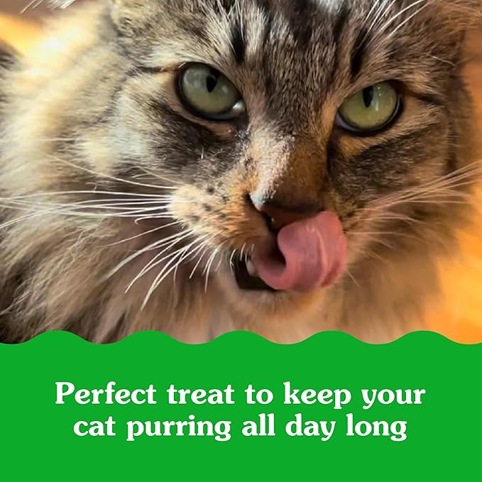 Greenies Feline Smartbites Skin & Fur Health Crunchy and Soft Cat Treats, Salmon Flavor, 16 oz. Tub
