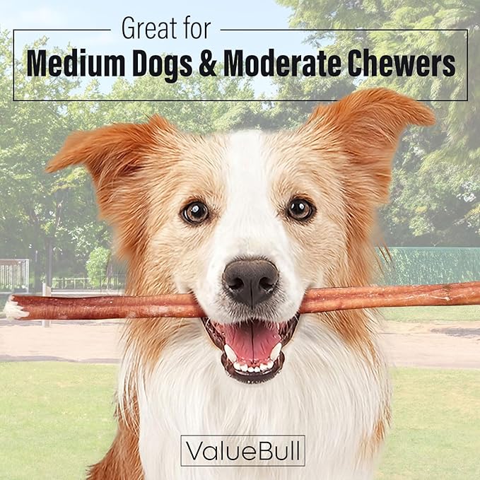 ValueBull Bully Sticks for Dogs, Medium 12 Inch, 100 Count - All Natural, Grass Fed, Single Ingredient, Long Lasting Dog Treats