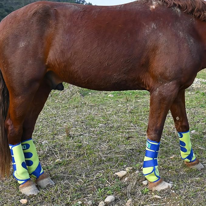 Equine Sport Horse Boots Set of 4 – Neoprene Leg Protection with Durable Hook & Loop Straps, Breathable & Comfortable Fit for Training, Riding, and Performance（Grenn, Medium）