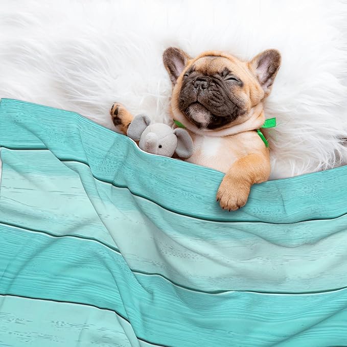 Waterproof Dog Blanket Soft Pet Blanket for Puppy Cat, Fleece Cat Throw Blankets for Furniture Bed Couch Sofa Reversible - Teal Turquoise(1)