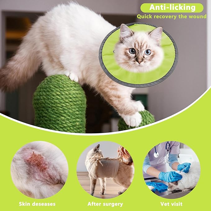 Lightweight Cat Cone Collar Soft, Soft Comfortable Cat Recovery Collar After Surgery, Elizabethan E Collar for Cats, Cone for Cats to Stop Licking (Water Green, Large)