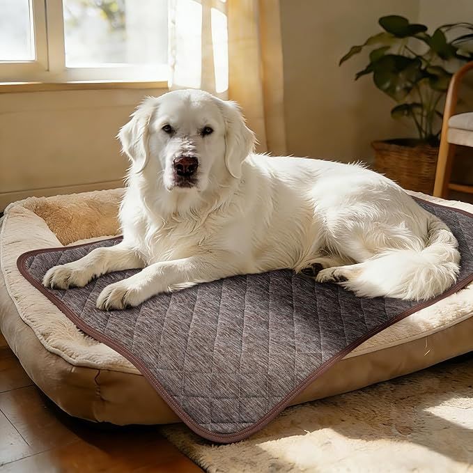 Cooling Mat for Dogs: Waterproof Pet Cooling Mat for Crate Kennel, Summer Indoor Dog Cooling Pad for Floor and Sofa, Dark Grey, Small Dog/Cat