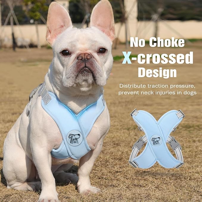 Pawaboo Small Dog Harness and Leash Set, Puppy Harness X-Frame No Pull No Choke, Dog Vest Harness Adjustable for Small Medium Sized Dogs, Soft Breathable Pet Harness for Walking Outing (L, Blue)