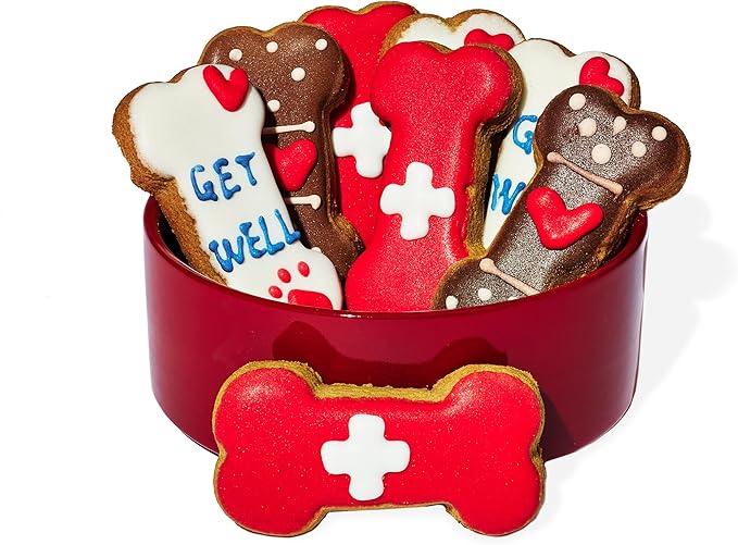 Thoughtfully Pets, Get Well Dog Cookies Gift Set, Crunchy Dog Treats Includes Colorfully Hand Decorated Get Well Themed Biscuits to Brighten Their Day, Set of 8