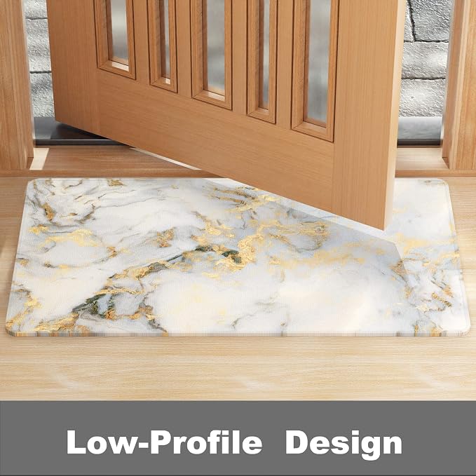 Rnivvi Front Door Mat, Heavy Duty Low Profile Anti-Slip Entryway Rug