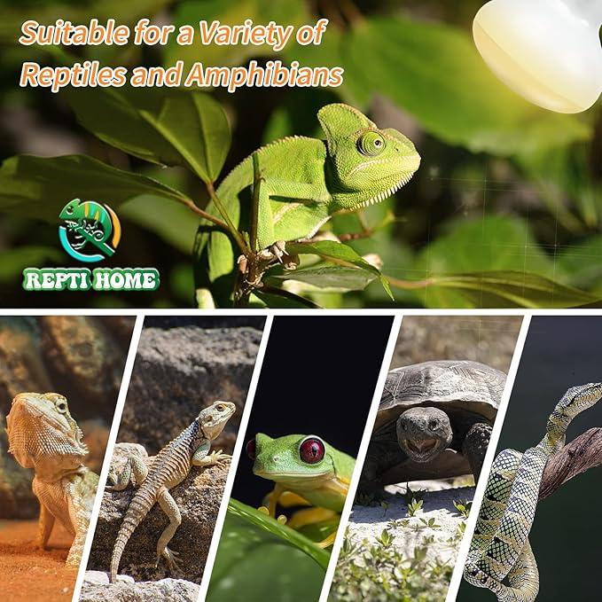 New Upgrade Reptile Heat Lamp Bulb (3rd Gen No Broken), 50W 2 Pack Basking Spot Light for Reptiles & Amphibians,UVA Daylight Heat Bulb for Bearded Dragon, Turtle