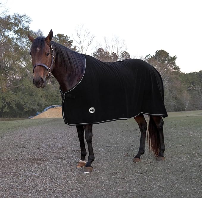 Jeffers Equine Elite Fleece Horse Cooler Blanket, 72 Inch – Soft, Adjustable Fit, Lightweight, Easy Care, Moisture Wicking Cooling Sheet with Surcingle for Post Exercise, Travel for Horses – Black