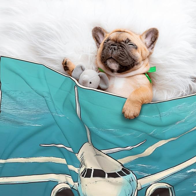 Waterproof Dog Blanket Soft Pet Blanket for Puppy Cat, Fleece Cat Throw Blankets for Furniture Bed Couch Sofa Reversible - Comic Airplane Cockpit Illustration
