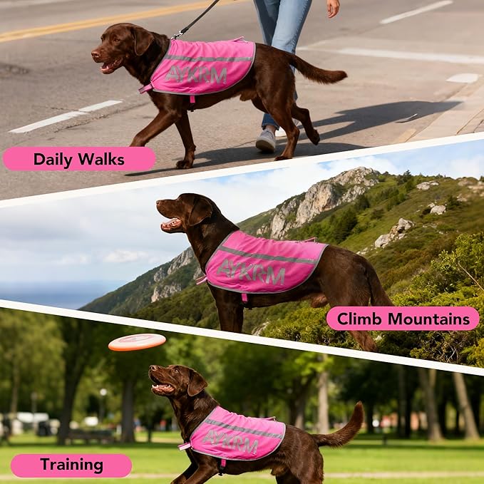 Print Pink Reflective Dog Vest for XSmall Breeds,High Visibility Dog Safety Vest Harness with Removable Bell Keep Safe from Hunting, Training & Cars Accidents
