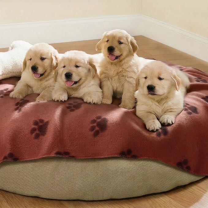 LINENLUX Cute Dog Blanket for Small Medium Dogs 6-Pack Soft Stretchy Fleece Blankets for Pet Cat Puppy Warm Wrinkle-Resistant Throw for Couch Bed Outdoor Coffee 31x24 inch (Pack of 6)