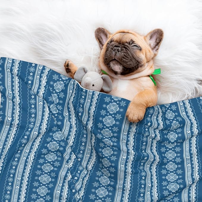 Boho Blanket for Pet - Blue White Snowflake Throw Blanket 40x30 Bohemian Couch Blankets for Puppy Dogs Cats