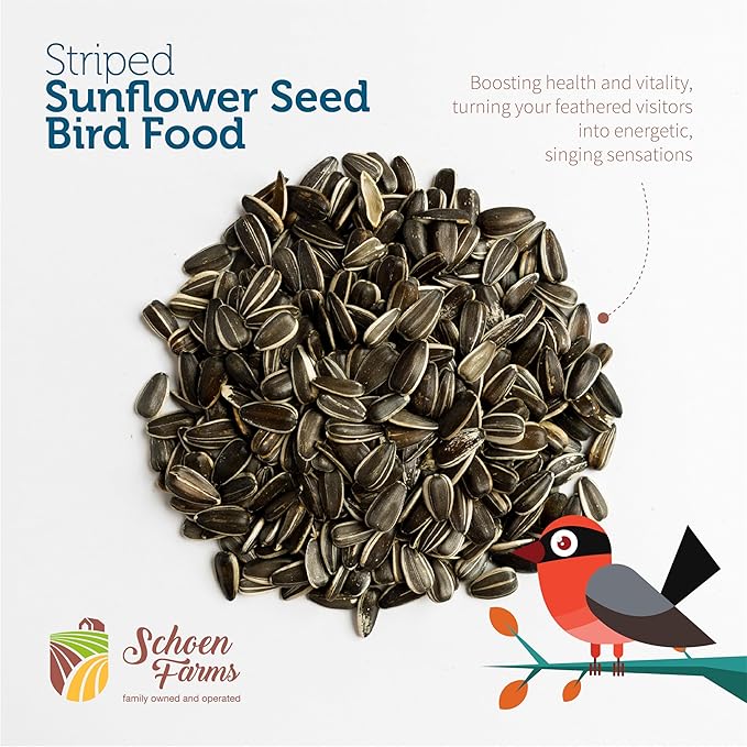 Schoen Farms Striped Sunflower Seeds – Hulled Wild Bird Food – 3 lb Bag – Clean, No-Mess Bird Seed for Finches, Jays & Cardinals