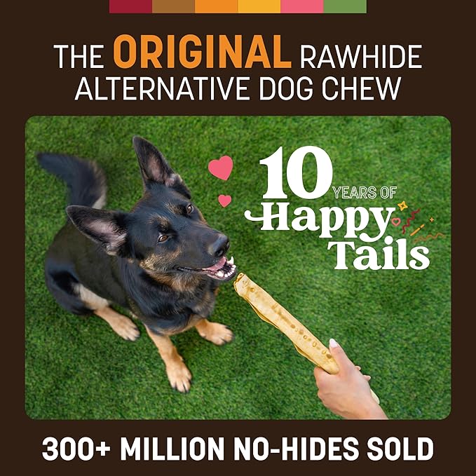 Earth Animal No Hide Chews - Long Lasting Rawhide Free Large Dog Chews Rolls, Chicken - 2 Count