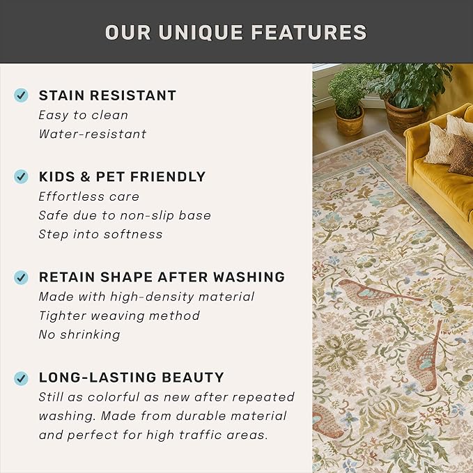 Large Entryway Rugs Indoor
