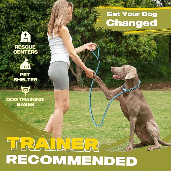 Fida Durable Slip Lead Dog Leash, 6 FT x 3/8" Heavy Duty Comfortable Strong Rope Slip Lead for Small Dogs and Puppies, No Pull Pet Training Lead with Highly Reflective(3/8", Blue)