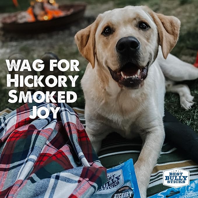 Best Bully Sticks Hickory Smoked Whole Pig Ears - 12 Count (Pack of 1) - No Additives, 100% Pork, Great for Small or Large Breeds