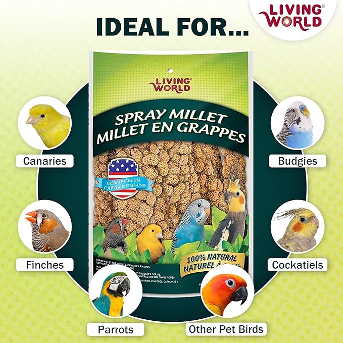Living World – Millet Spray for Birds, 17.6 Oz – Premium Treat for Budgies, Canaries, Finches, Cockatiels and Other Pet Birds