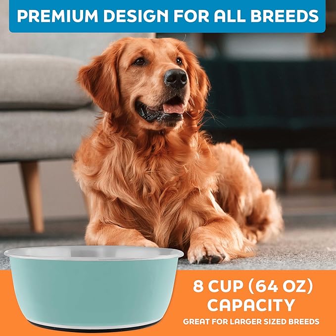 Master Pet Supply Stainless Steel Dog Bowls Set of 2 (64 Oz Each) with Non-Slip Rubber Base - Aqua Sky - Basic Dog Food Bowl Water & Food Bowls for Small Medium Large Dogs & Cats, Metal Dish