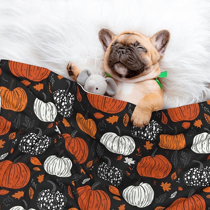 Fall Pumpkins Throw Blanket - Halloween Blanket for Dog Cat Autumn Pet Blankets 40x30 for Couch Sofa Bed
