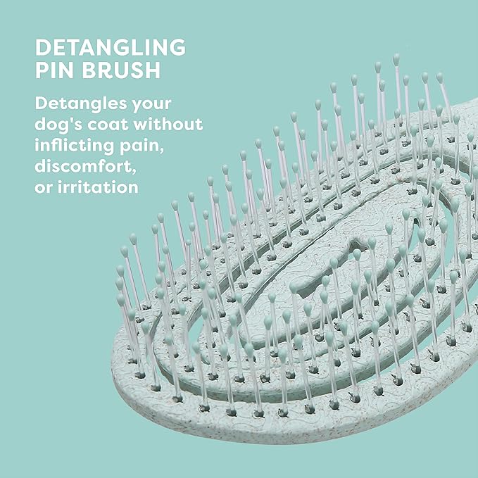 BioSilk for Pets Eco Friendly Detangling Pin Brush for Dogs, Gentle Dog Grooming Brush Designed to Help Remove Knots and Tangles and Support Healthy Coats for All Dogs - 48 Pack