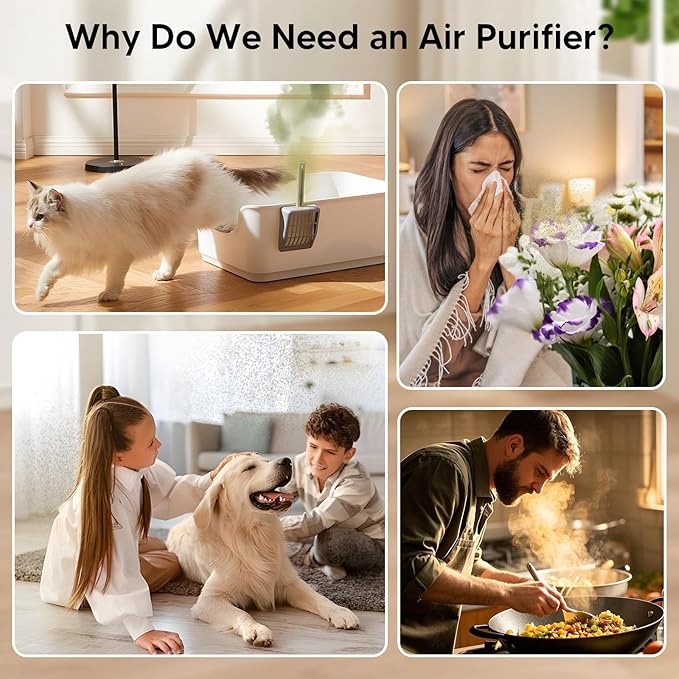 Air Purifiers for Home Bedroom Up to 1250 Ft² - H14 HEPA Air Purifier with Aroma & Sleep Mode - 24dB Small Room Air Purifier for Allergies, Smoke, Dust, Pollen, Pet Dander,4000B,Black
