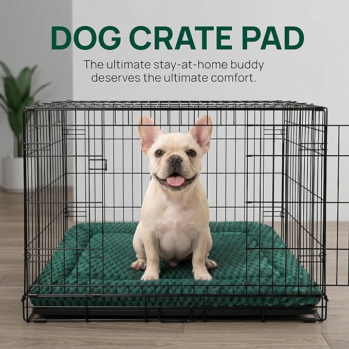 Dog Bed Mat, Reversible, Soft and Breathable Kennel Pad, Durable Crate Bed for Small, Medium, and Large Dogs and Cats (Green, S(24"*16"*1.2"))