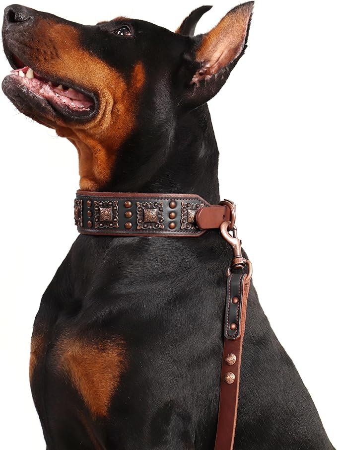 PET ARTIST Soft Padded Leather Dog Collar, 2 inch Wide Genuine Leather Dog Collars with Stylish Studded Rivet & Metal Buckle, Luxury & Adjustable Pet Collars for Medium Dogs,Black,Neck 16-19"