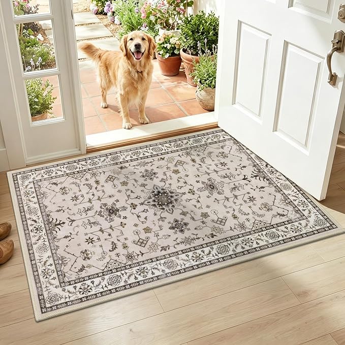 HEBE Washable Aera Rug 2'x 3' Non Slip Door Mat Indoor Entrance, Low Pile