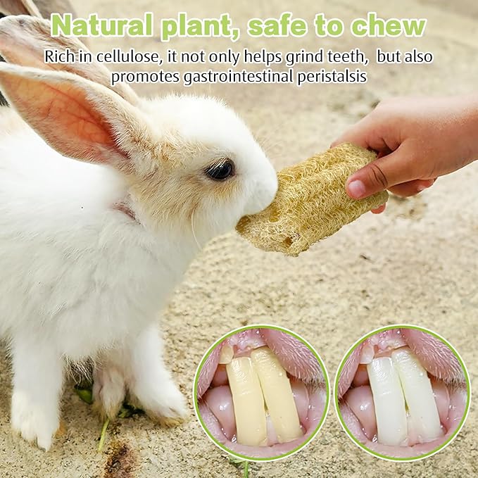 BNOSDM Bunny Chew Toys Natural Loofah 6PCS Bunny Teeth Grinding Toy Rabbit Fiber-Rich Treats Pet Entertainment Accessories for Rabbits Chinchillas Guinea Pig（L）