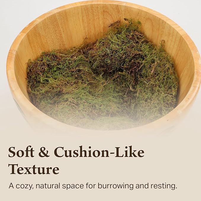 The Habitat Life - Natural Deco Moss - for Reptiles, Amphibians & Invertebrates Terrariums - Humidity Control - Natural Look & Feel - Soft Surface - Dye-Free & Safe - Small - 2 Pack