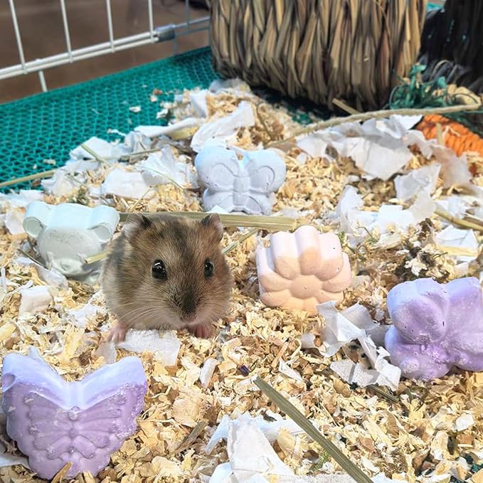 48PCS Rabbit Grass Balls 1.96in Guinea Pig Balls Small Animal Activity Enrichment Toy for Bunny Chinchilla Hamster Gerbil Grinding Playing