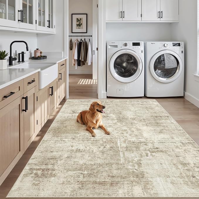 Soalmost 3x5 Rug, Small Area Rug
