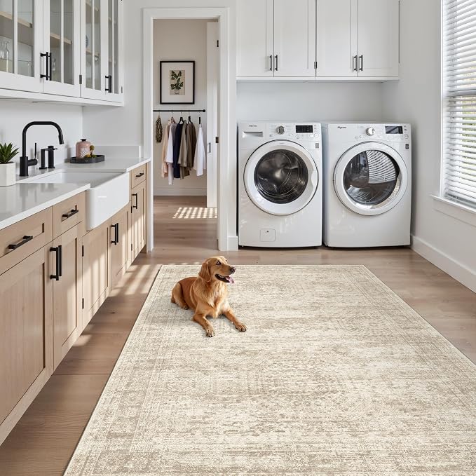 3x5 Rug, Small Area Rug for Kitchen, Machine Washable Non-Slip Throw Rug