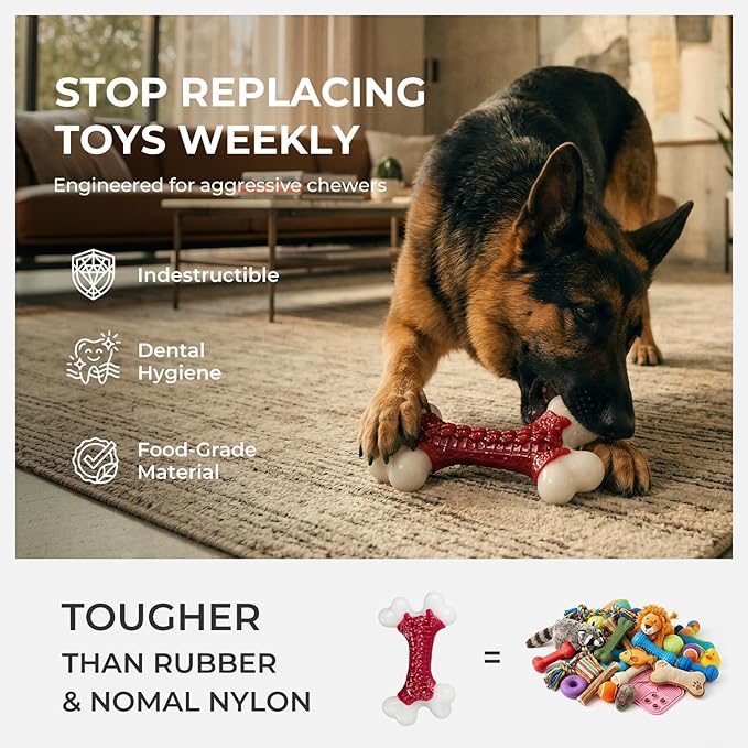 10-Pack Indestructible Dog Toys for Aggressive Chewers: Beef Flavored Hard Nylon Bone Chew Toys, Tough Dog Chew Toys for Large Dogs, Dog Toys to Keep Them Busy for Medium Large Breed, Red