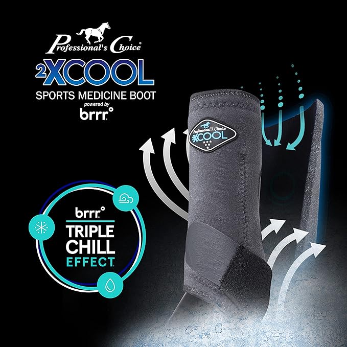 Professional's Choice 2XCOOL Sports Medicine Horse Boots | Protective & Breathable Design for Ultimate Comfort & Durability in Active Horses | Value 4 Pack | Large Raspberry