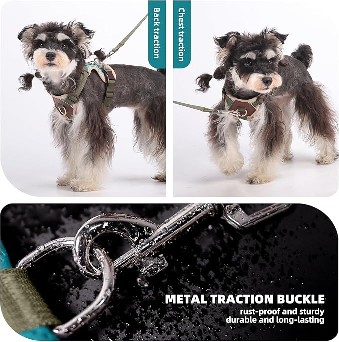 Small Dog Harness and Leash Set, Breathable Mesh Puppy Harness, Adjustable Dog Harness for Small Medium Large Dogs, No-Pull Pet Harness for Daily Walking (Lakeblue, X-Large)