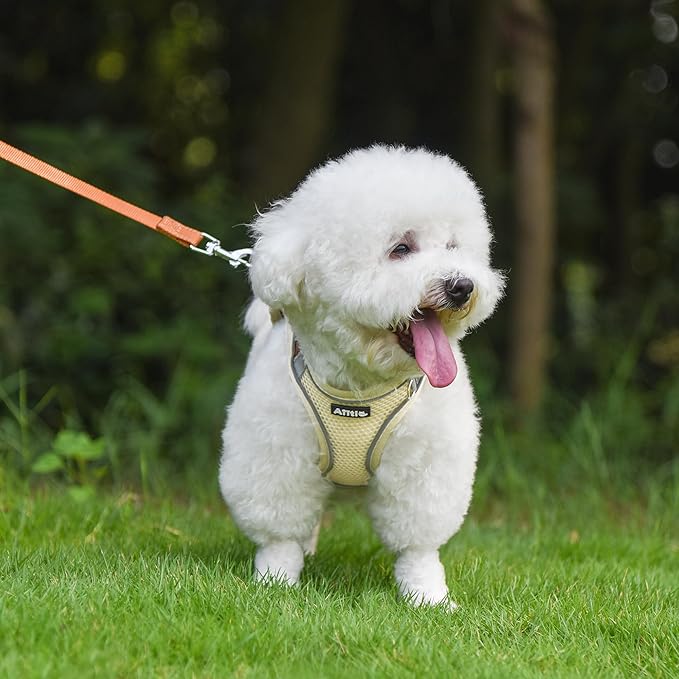 AIITLE Escape Proof Dog Harness - Step in Adjustable Dog Harness No Choke Over with Breathable Mesh and Quick-Release Buckle for All Weather- Outdoor Walking, Training for Medium Dogs Beige XL