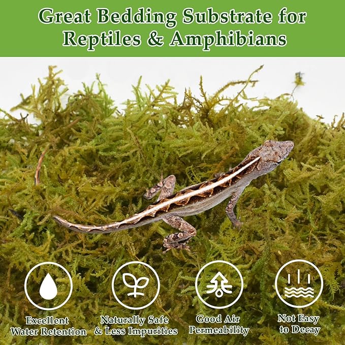 Halatool 1.1LB Natural Sphagnum Moss for Reptiles- 25QT Green Moss for Terrarium Plants Long Fiber Reptile Moss for Leopard Gecko Snake Hamsters Tortoises Frogs Lizards Salamanders