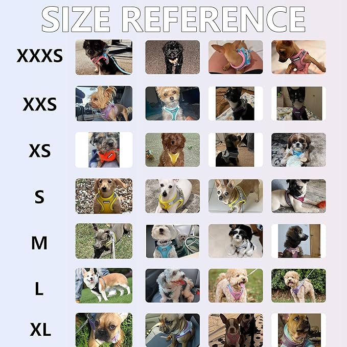 AIITLE Comfortable Dog Harness and Leash Set for Walking - Step in Vest Harness,Reflective Bands, Adjustable No Pull Puppy Essentials, for Small Dogs and House Cats Green XS