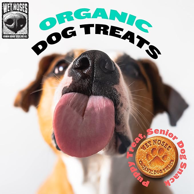 Wet Noses Organic Crunchy Dog Treats Grain Free – All-Natural, Human-Grade, Non-GMO, Healthy Training & Delicious Snacks for Dogs, All Dog Sizes & Breeds – Carrot & Sweet Potato, 14oz (Single Pack)